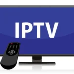 Viewing Systems Supporting More Comfortable Entertainment Across Multiple Daily Situations